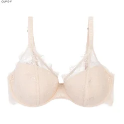 Gwyneth Padded wired bra