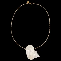 Shell Necklace Shell necklace