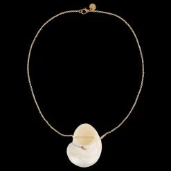 Shell Necklace Shell necklace