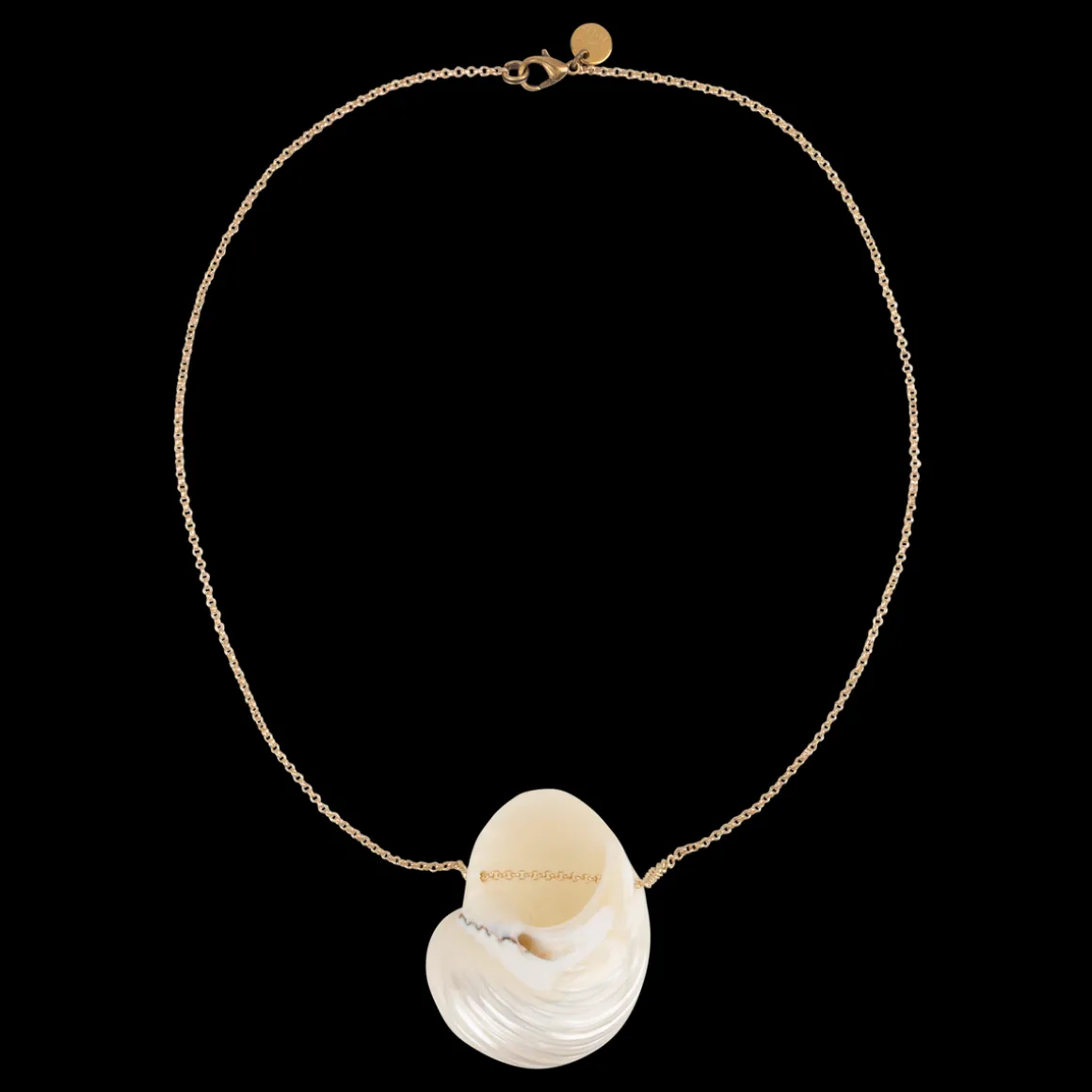 Shell Necklace Shell necklace