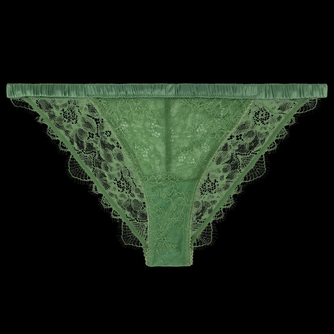 Wild Rose Comfortable lace briefs