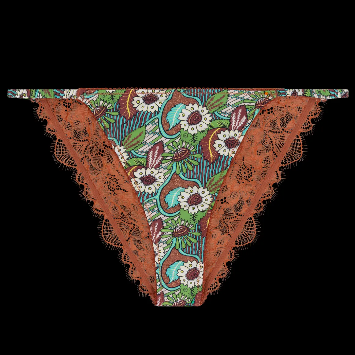 Wild Rosie Delicate lace briefs