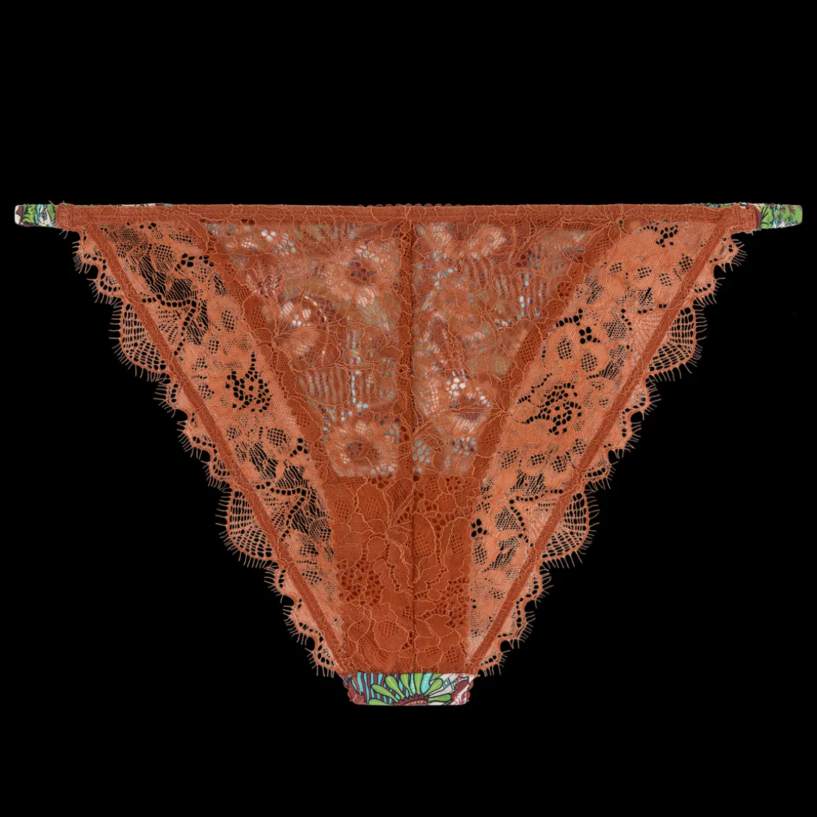 Wild Rosie Delicate lace briefs