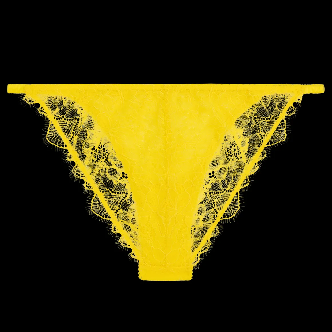 Wild Rosie Delicate lace briefs