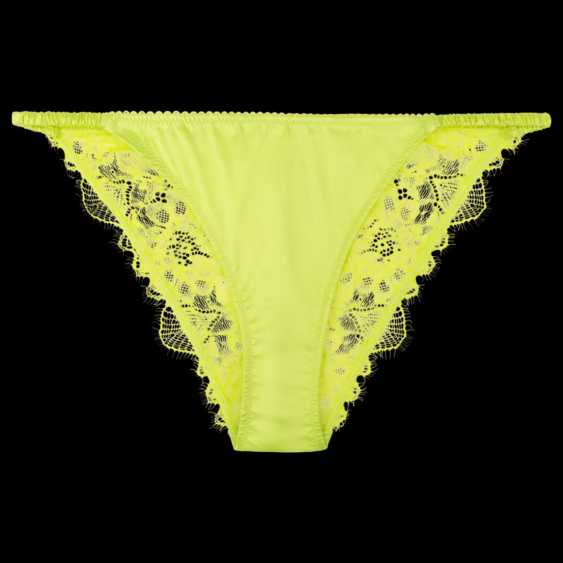 Wild Rosie Delicate lace briefs