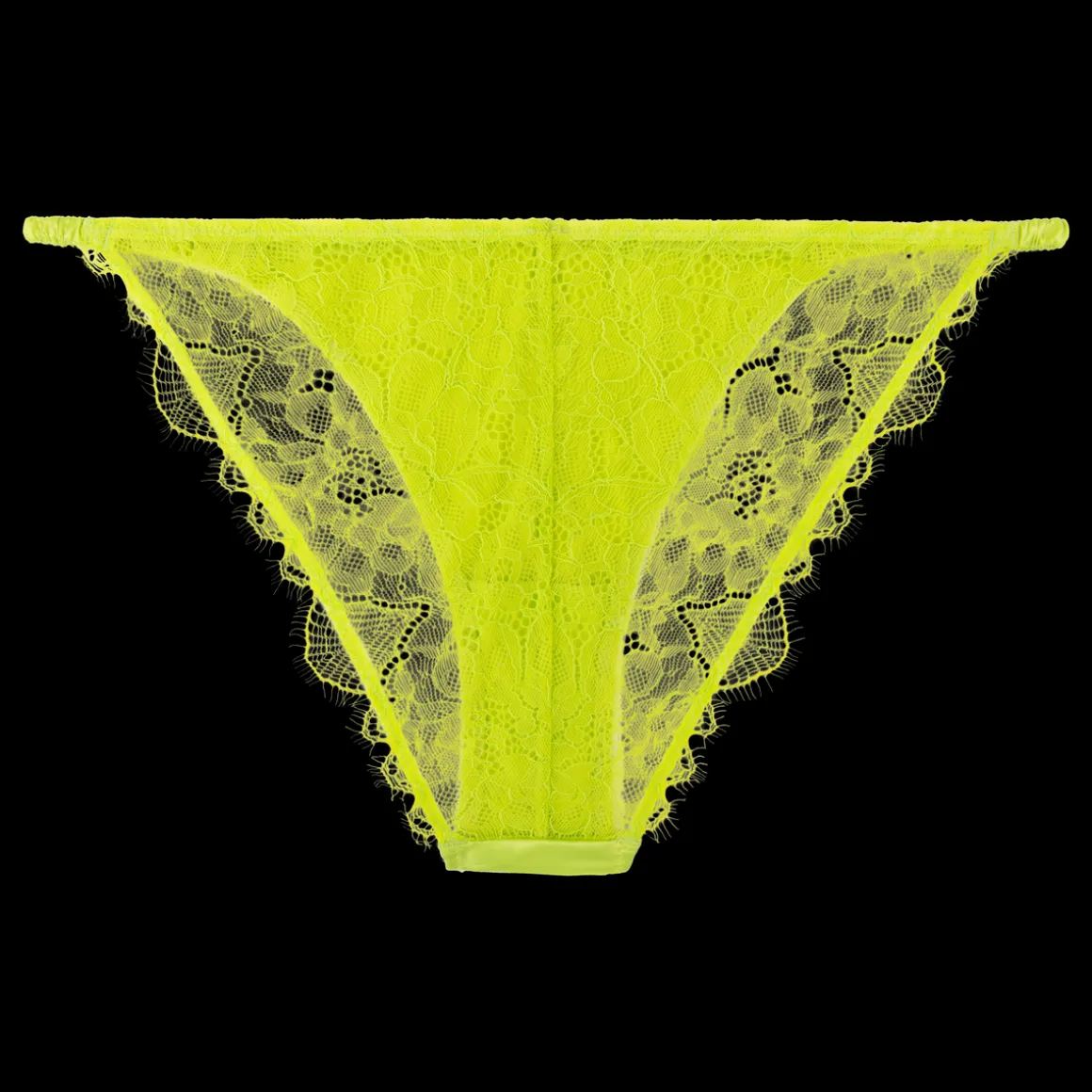 Wild Rosie Delicate lace briefs