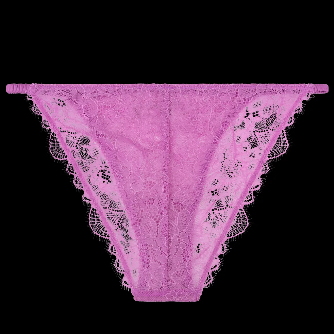 Wild Rosie Delicate lace briefs